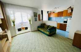 Garsoniera spatioasa, 40 mp, zona strazii Florilor