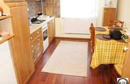 3 camere de inchiriat, zona Gradina Botanica, liber de la 20 decembrie