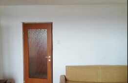 Garsoniera de 29 mp, etaj intermediar, zona Noua