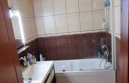 Apartament 3 camere, 52 mp, parcare, zona Muzeul Apei 