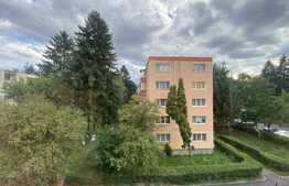 Apartament de 2 camere, 47,5 mp, zona Gemenii 