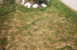 Apartament de 2 camere, 50 mp, parter, zona Tractorul