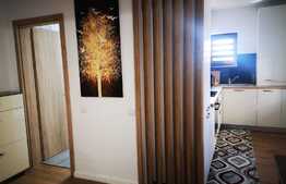 Apartament de 2 camere, 50 mp, parter, zona Tractorul