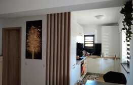 Apartament de 2 camere, 50 mp, parter, zona Tractorul