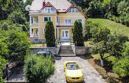 Vila deosebita de 534 mp, 1800 mp, terasa, Codlea 