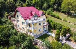 Vila deosebita de 534 mp, 1800 mp, terasa, Codlea 