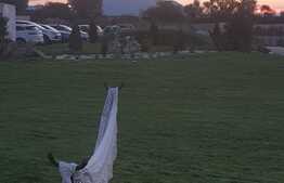 Garsoniera decomandata, 40 mp, bloc nou, zona Tractorul