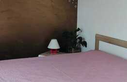 Apartament 4 camere, confort sporit, cu gradina individuala, in cartierul Europa 