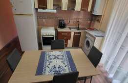 Apartament 2 camere, balcon, parcare, zona Parc Poligon