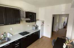 Apartament de 2 camere, garaj, pet friendly, 70mp, zona Campului