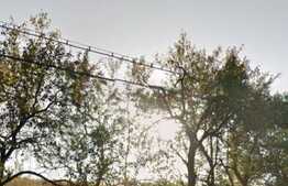 Teren intravilan, 1000 mp, Dabaca