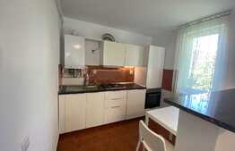 Garsoniera Pet Friendly, 32 mp, balcon, zona Grigorescu