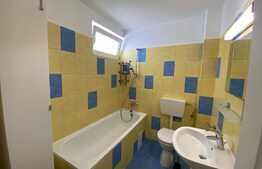 Garsoniera Pet Friendly, 32 mp, balcon, zona Grigorescu