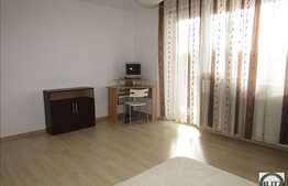 Apartament 1 camera, 50 mp, parcare, zona IRA
