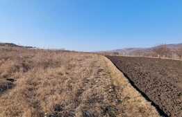 Teren 6883 mp, Jucu de Mijloc