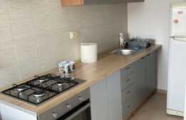 Garsoniera, 40 mp, balcon, zona USAMV