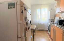 Apartament 1 camera, 42 MP, zona strazii Alverna 