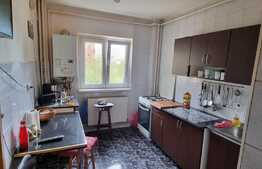 Apartament de 3 camere, decomandat, 2 băi, priveliște, zona Răcădău