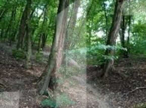 Teren de vânzare Exterior Est - 94139TV | BLITZ Cluj-Napoca | Poza1