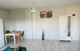 Apartament 2 camere, 60 mp, AC, terasa, zona Corneliu Coposu