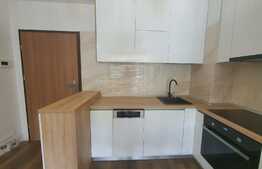 Apartament 2 camere, prima inchiriere, parcare subterana, complex Viva City