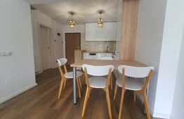 Apartament 2 camere, prima inchiriere, parcare subterana, complex Viva City