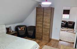 Doua case de vanzare in Gilau, complet utilate, suprafata teren 1852 mp