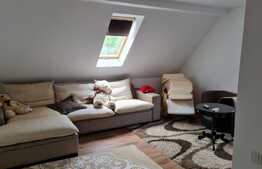 Doua case de vanzare in Gilau, complet utilate, suprafata teren 1852 mp