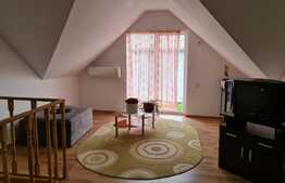 Doua case de vanzare in Gilau, complet utilate, suprafata teren 1852 mp