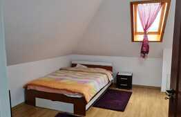 Doua case de vanzare in Gilau, complet utilate, suprafata teren 1852 mp