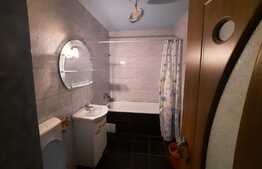 Apartament 2 camere, 45 mp, 12 mp balcon, pod, zona Stejarului