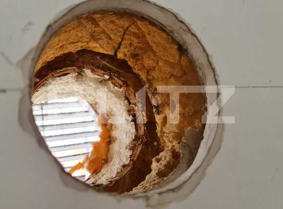 Casa de vânzare 5 camere Feleacu - 94207CV | BLITZ Cluj-Napoca | Poza16