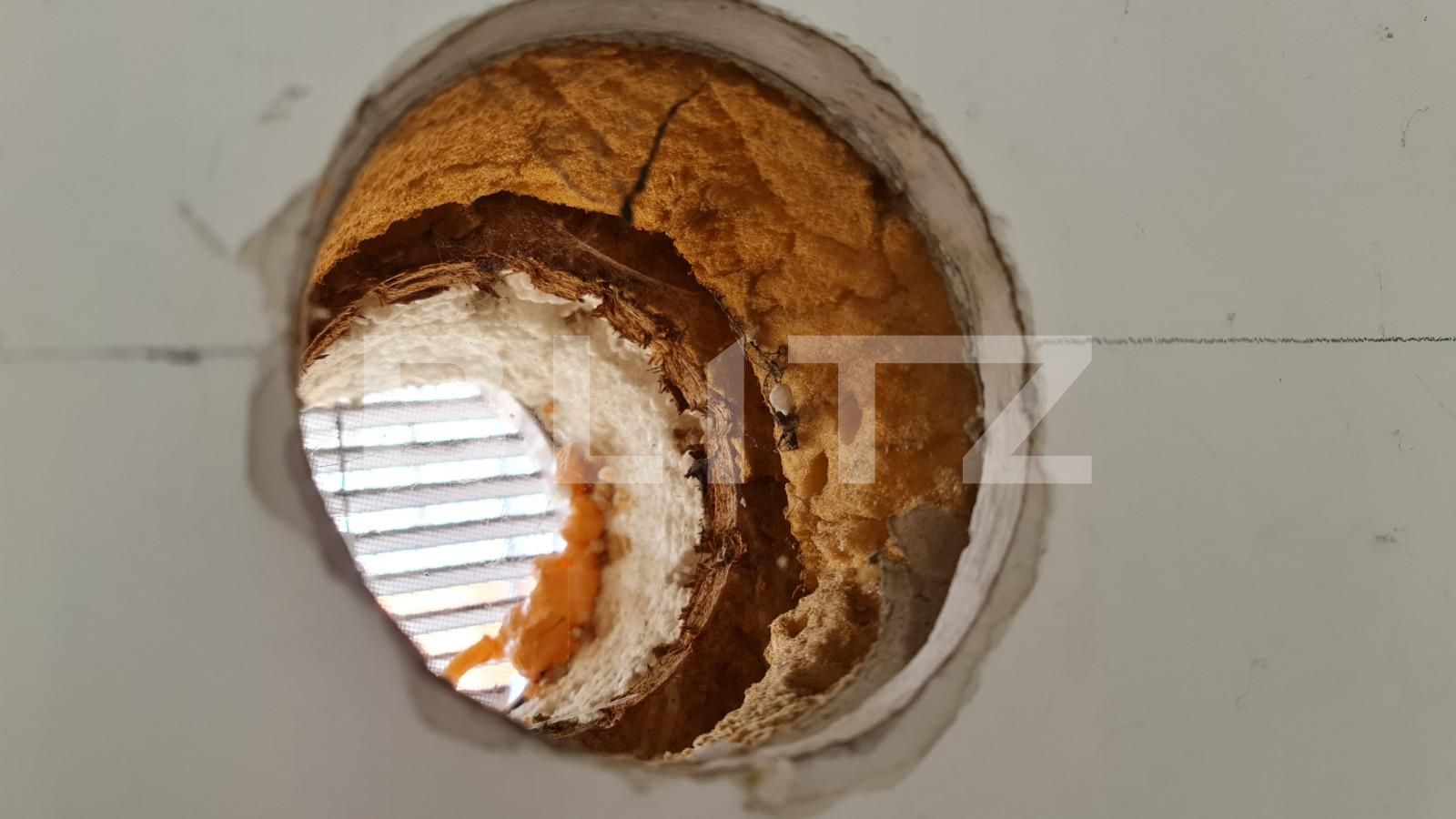 Casa de vânzare 5 camere Feleacu - 94207CV | BLITZ Cluj-Napoca | Poza16