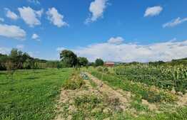 Casa 4 camere, 3400 mp teren, Soimeni 