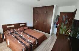 Casa 4 camere, 3400 mp teren, Soimeni 