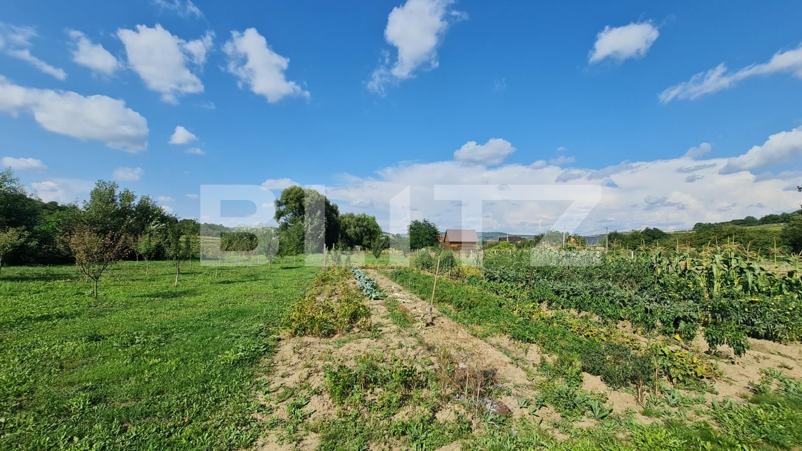 Casa de vânzare 4 camere Exterior Nord - 94212CV | BLITZ Cluj-Napoca | Poza17