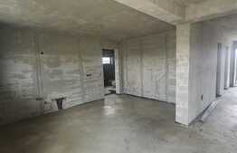 Casa individuala cu garaj, 930 mp teren, proiect deosebit, Jucu de Mijloc 