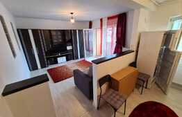 Apartament 2 camere, 46 mp, priveliste, balcon, zona strazii Florilor