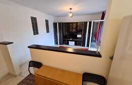 Apartament 2 camere, 46 mp, priveliste, balcon, zona strazii Florilor