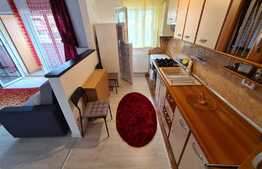 Apartament 2 camere, 46 mp, priveliste, balcon, zona strazii Florilor