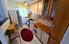 Apartament 2 camere, 46 mp, priveliste, balcon, zona strazii Florilor