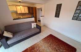 Apartament 2 camere, 46 mp, priveliste, balcon, zona strazii Florilor