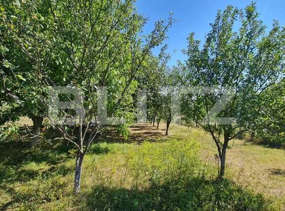 Casa de vânzare 5 camere Exterior Nord - 94216CV | BLITZ Cluj-Napoca | Poza13