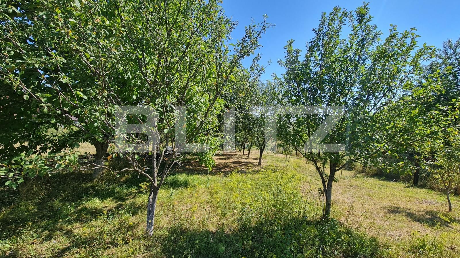 Casa de vânzare 5 camere Exterior Nord - 94216CV | BLITZ Cluj-Napoca | Poza13