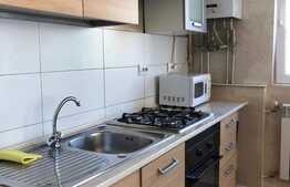  Apartament de 2 camere, 45 mp, etaj intermediar, zona Piata Marasti