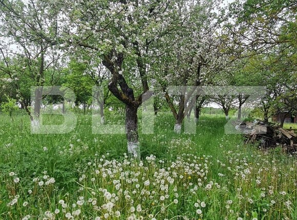 Casa de vânzare 4 camere Exterior Nord - 94262CV | BLITZ Cluj-Napoca | Poza17