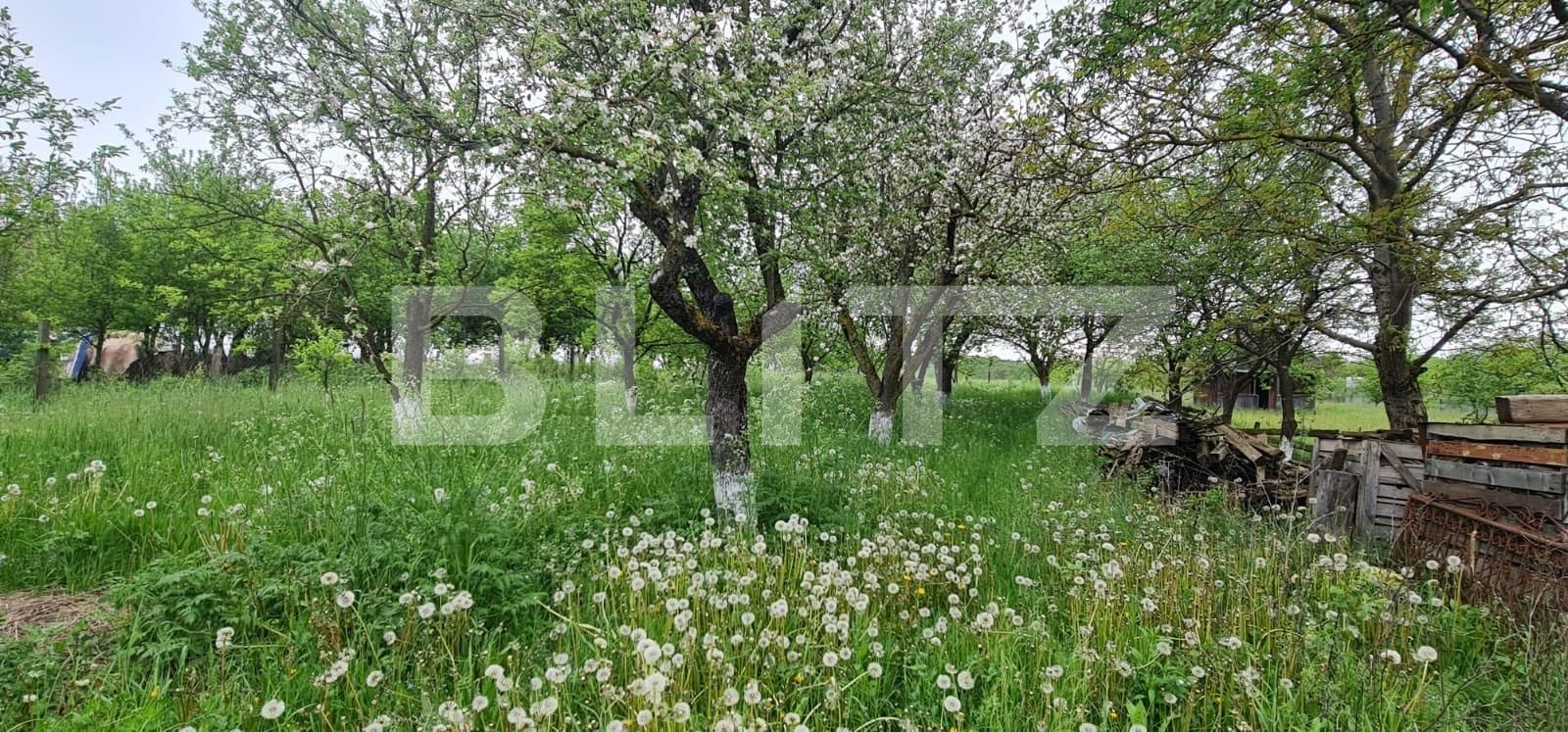 Casa de vânzare 4 camere Exterior Nord - 94262CV | BLITZ Cluj-Napoca | Poza17