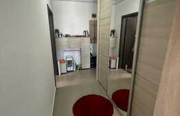 Apartament 2 camere, 46 mp, etaj intermediar, zona Autogara Beta