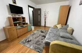 Garsoniera decomandata, 25 mp, zona Kaufland, Manastur 