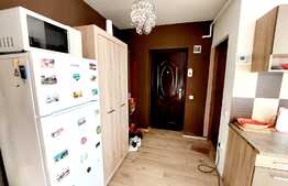 Garsoniera de 31 mp, balcon, priveliste, zona strazii Porii